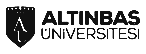 Altinbas University